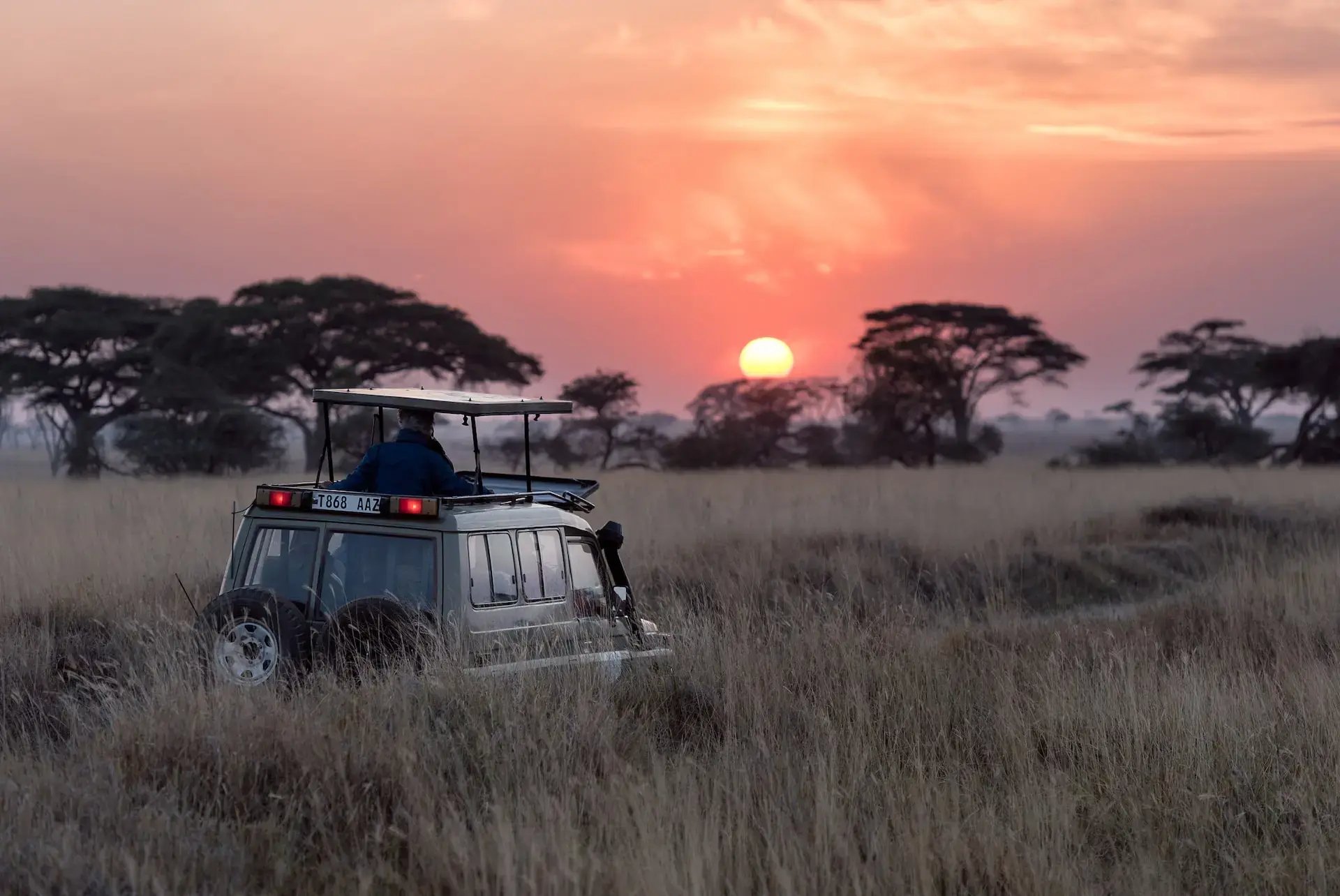 10-Reasons-why-you-should-go-on-a-South-African-Safari-holiday-43